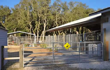 Kennel run protected from the weather with outdoor fans and a misting system