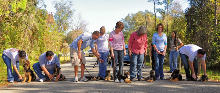 Common issues are jumping, pulling on the leash, charging the door, running away, and dog or food aggression.  We can evaluate your dog and skills to build that desired relationship!